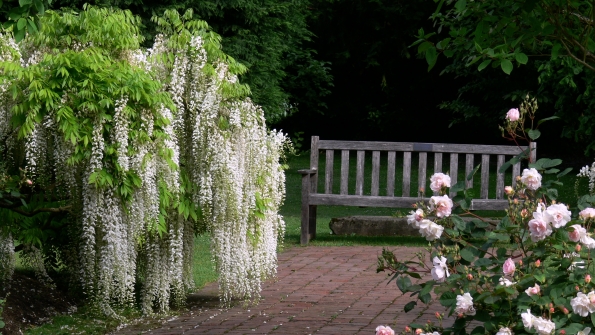 Bois des Moutiers (7) Juin 2012